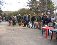  Svod psů - 7.4.2007, Brněnské Ivanovice